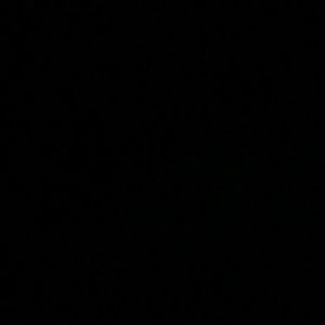 Meet your Posher, Tony